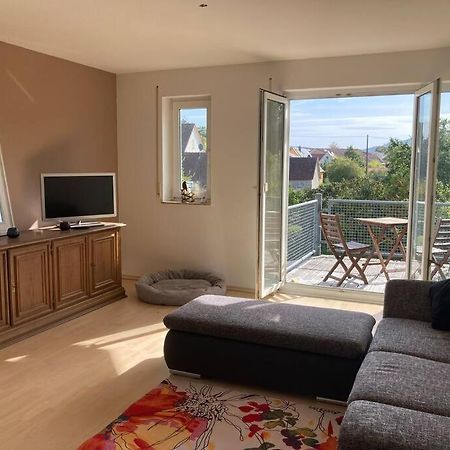 3 Zi Wohnung Haustiere Willkommen Im Markgraeflerland Dreilaendereck 施林根 外观 照片