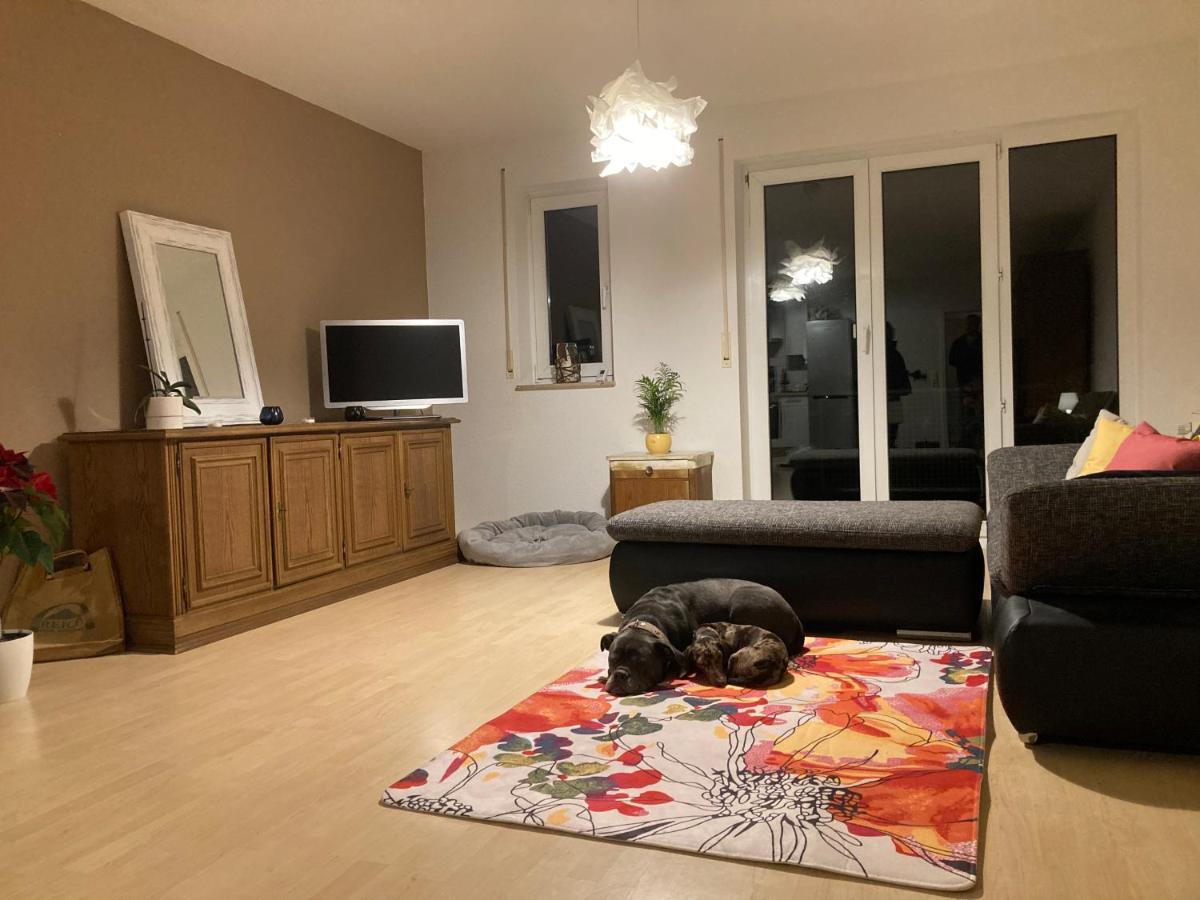 3 Zi Wohnung Haustiere Willkommen Im Markgraeflerland Dreilaendereck 施林根 外观 照片