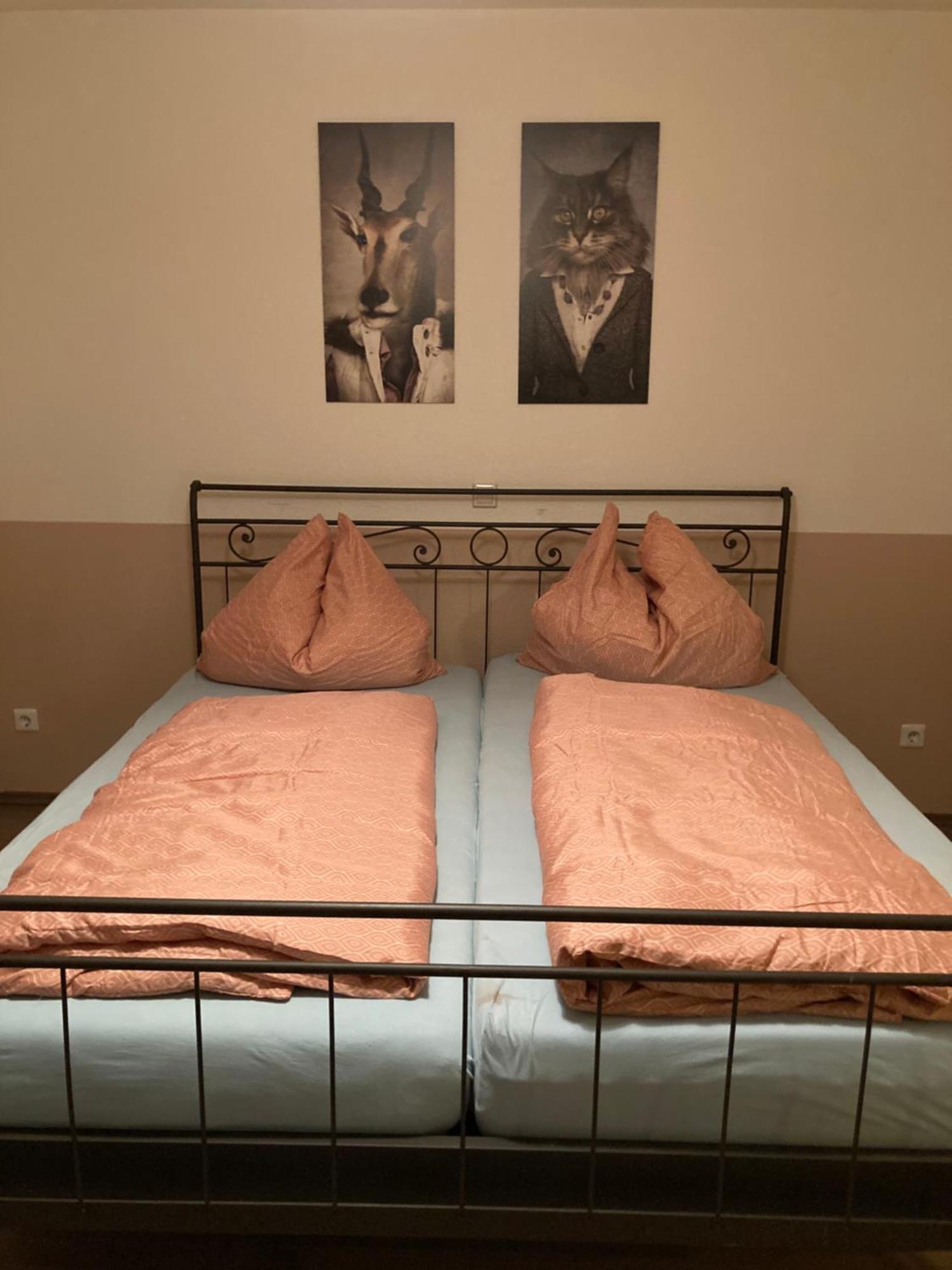 3 Zi Wohnung Haustiere Willkommen Im Markgraeflerland Dreilaendereck 施林根 外观 照片